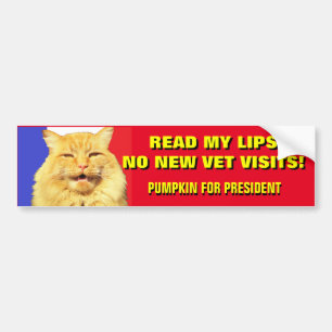 Read My Lips No Vets .Pumpkin for President 2020 Bumper Sticker