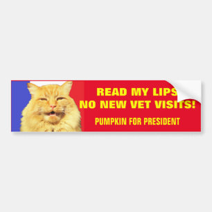 Read My Lips No Vets ...Pumpkin for President 2020 Bumper Sticker