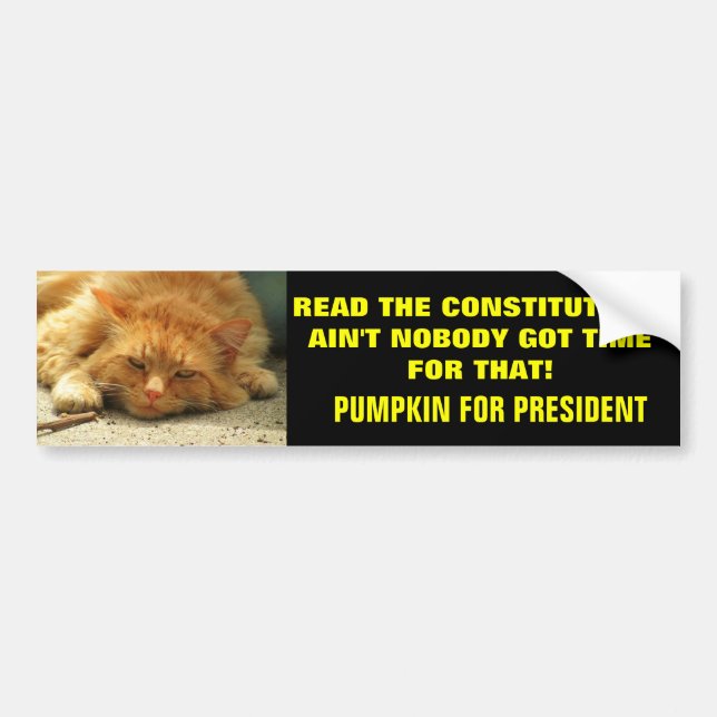 Read the Constitution? Ain't Nobody.... Bumper Sticker (Front)
