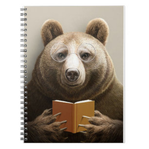 Reader Gift Bear Reading A Book