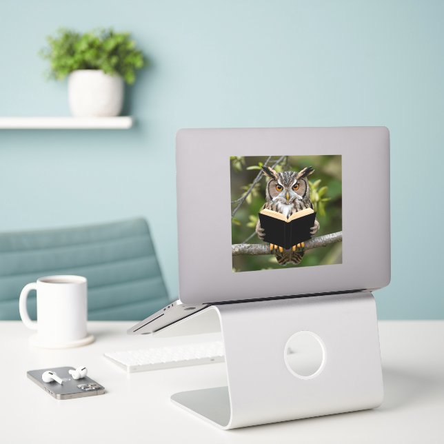 Reading Owl (Laptop On Desk)