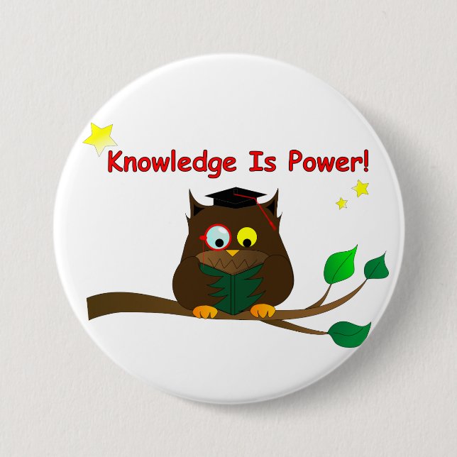 Reading Wise Owl 3 Inch Round Button (Front)