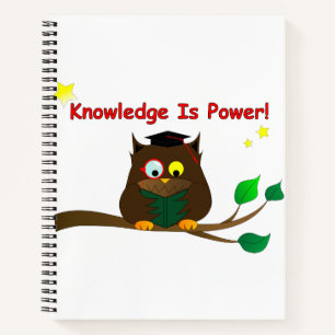 Reading Wise Owl Notebook