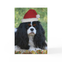 Ready For Christmas