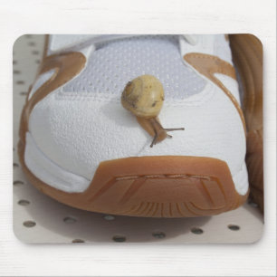 Ready For Snail Racing Mouse Pad