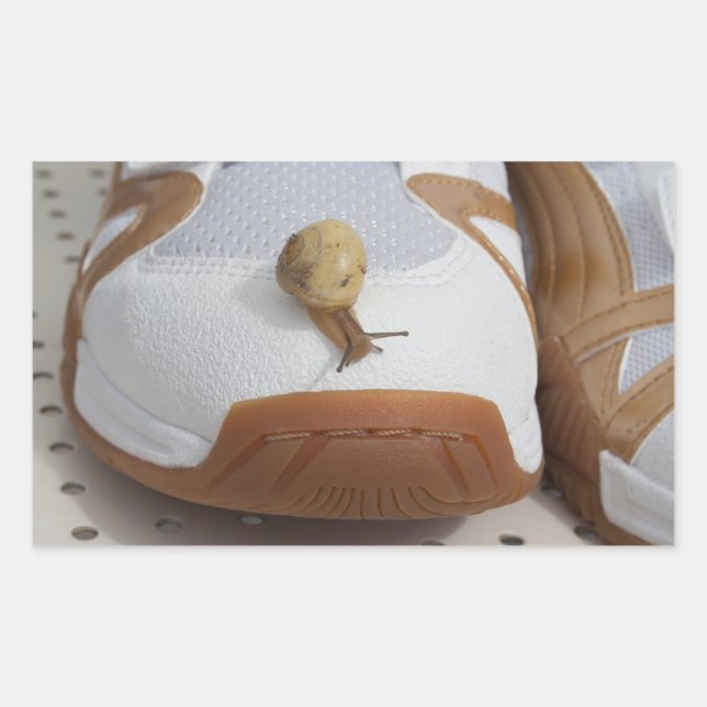 Ready For Snail Racing Sticker (Front)