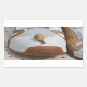 Ready For Snail Racing Sticker