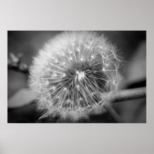 Ready for Take Off!!! Poster