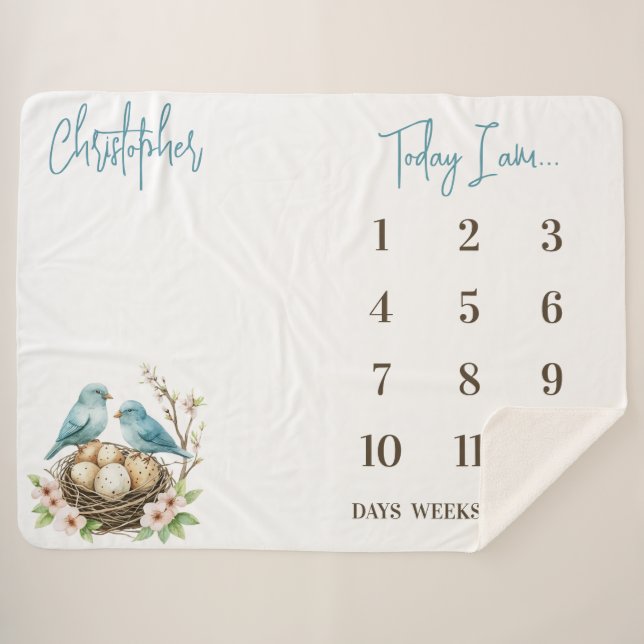 Ready to Hatch! Cute Birds Baby Milestone Sherpa Blanket (Front (Horizontal))