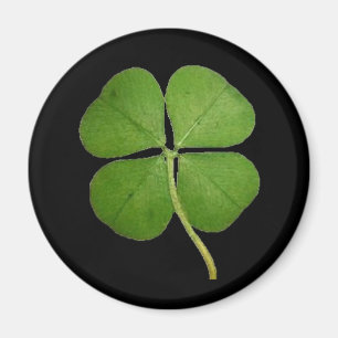 Real 4 Leaf Clover Shamrock Black Magnet