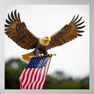 REAL BALD EAGLE FLYING WITH AMERICAN FLAG POSTER