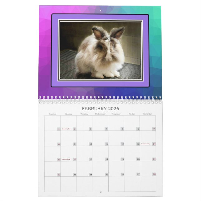 REAL BUNIES 2026 CALENDAR (Feb 2026)