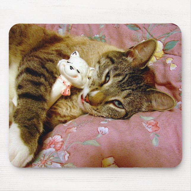 Real Cat, Fake Cat Mouse Pad (Front)