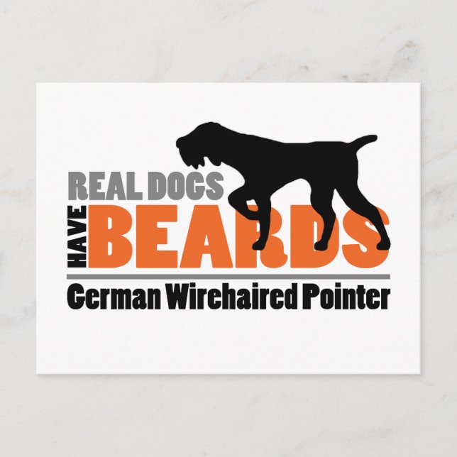 Real Dogs Have Beards - German Wirehaired Pointer Postcard (Front)
