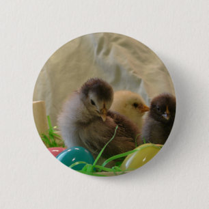 Real Easter Chicks 2 Inch Round Button