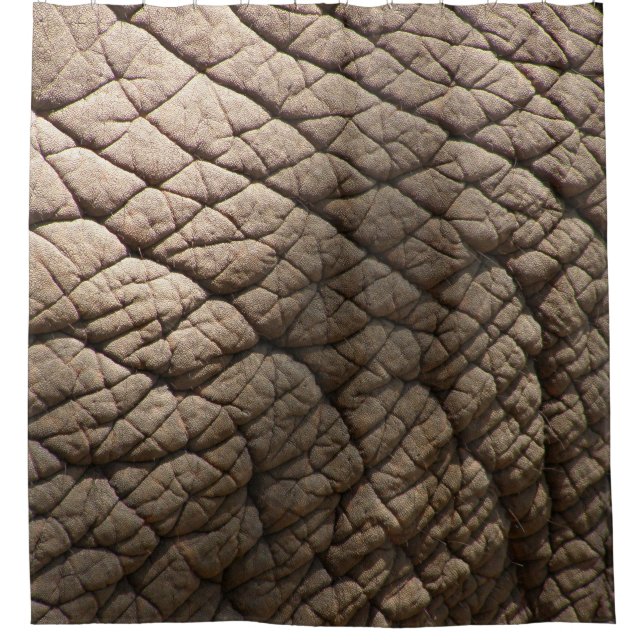 Real Elephant Skin Texture, Wrinkled. (Front)