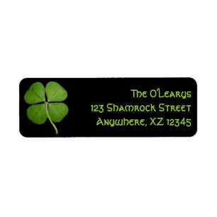 Real Four Leaf Clover