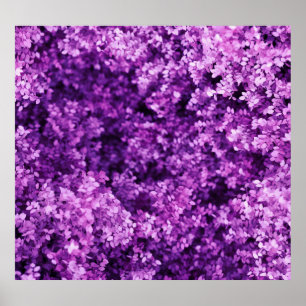 Real knitted fabric, textured background. poster