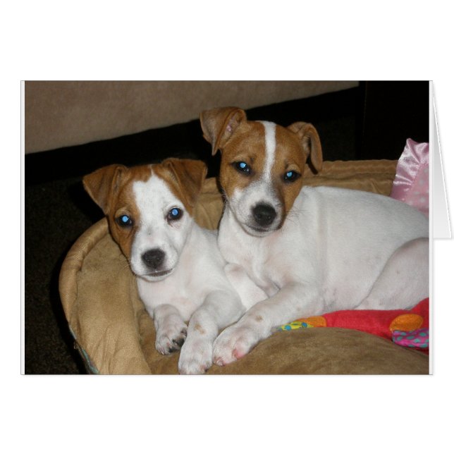 Real Love (Front Horizontal)