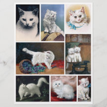 Real (not AI) White Cat Images from Victorian Era