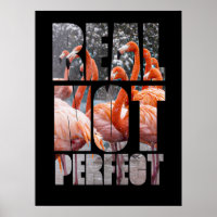 Real Not Perfect Quote Flamingo Tropical Birds