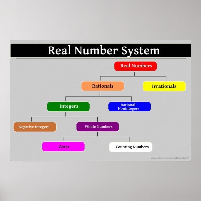 Real Number System Math Poster (Front)