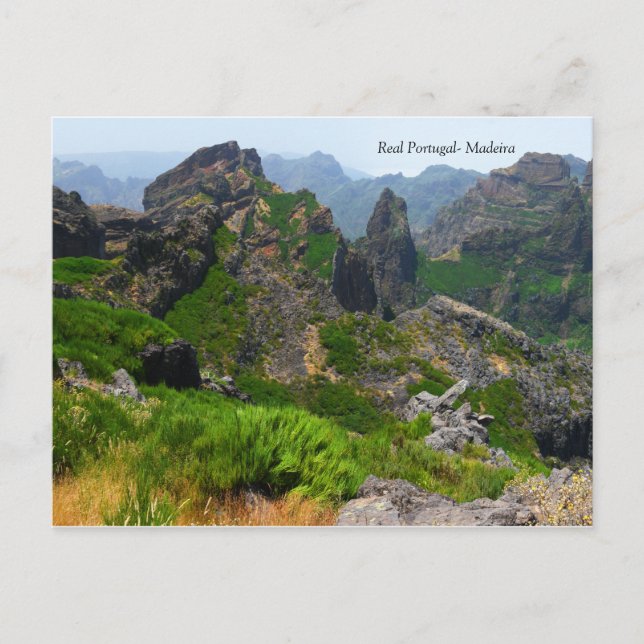 Real Portugal- Madeira Postcard (Front)