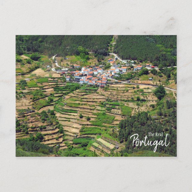 Real Portugal- Spectacular Terraced Farming Postcard (Front)