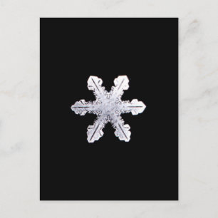 Real Snowflake Picture Postcard