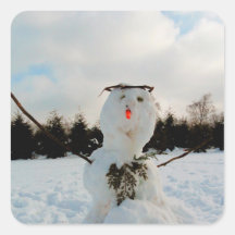 Real snowman photo 