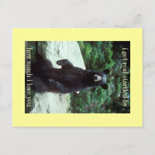real startled postcard
