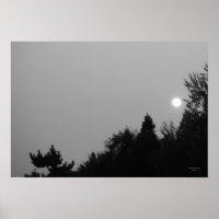 Réalisation : Poster Nature Zen/Tao