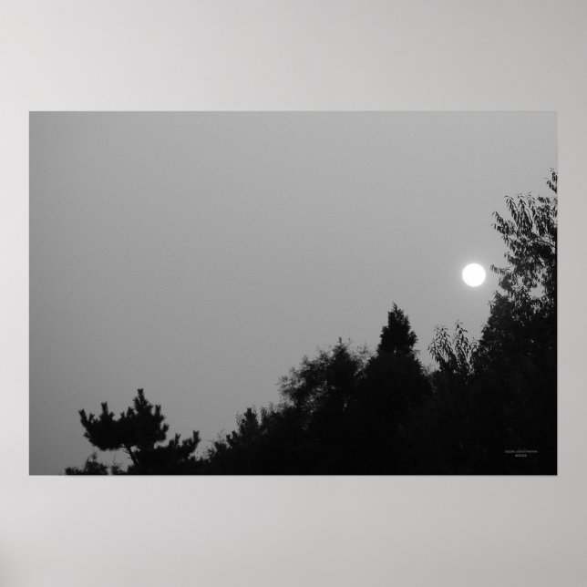 Réalisation : Poster Nature Zen/Tao (Devant)