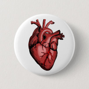 Realistic Anatomical Heart Image 2 Inch Round Button