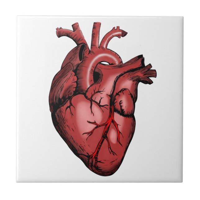Realistic Anatomical Heart Image Ceramic Tile (Front)