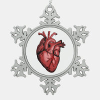 Realistic Anatomical Heart Image