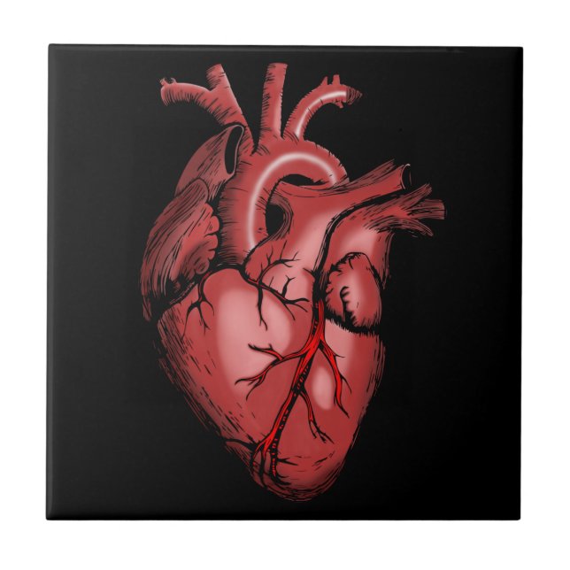 Realistic Anatomical Heart Image Tile (Front)