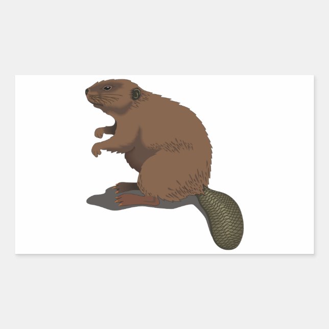 Realistic Beaver Sticker (Front)
