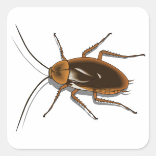 Realistic Brown Cockroach Insect Square Sticker