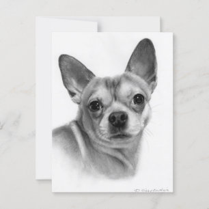 Realistic Chihuahua Hand Painted Artwork Postcard