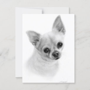 Realistic Chihuahua Portrait - Oil Painting  Postcard