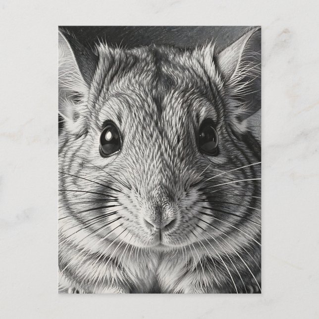 Realistic Chinchilla Portrait Sketch Postcard (Front)