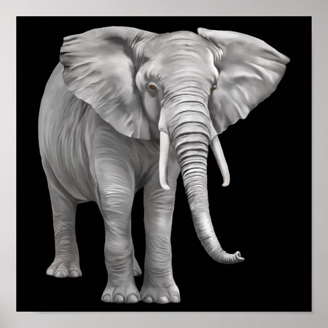 realistic Elephant background Poster (Front)