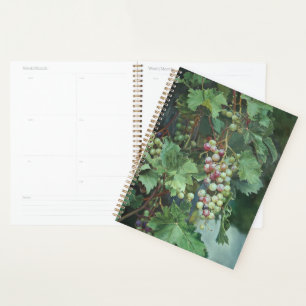 Realistic Grape Vine with Leaves – Fine Art Planner