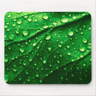 Realistic Green Leaf Texture With Water Drops Mouse Pad