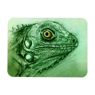 Realistic Green Reptile art Photo Magnet - Iguana