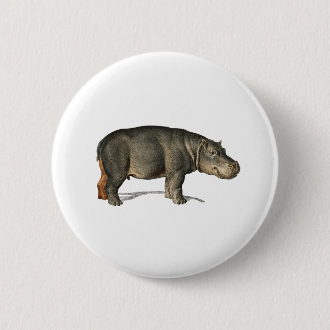 Realistic Hippo Illustration hippopotamus 2 Inch Round Button (Front)