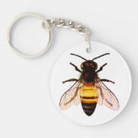 Realistic Honey Bee Art Illustration