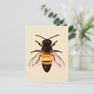 Realistic Honey Bee Art Illustration Postcard