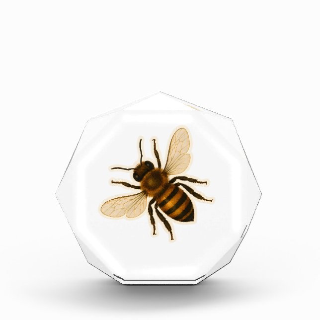 Realistic Honey Bee Design Photo Block (Front)
